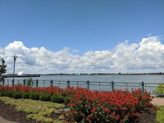 regard sur le fleuve