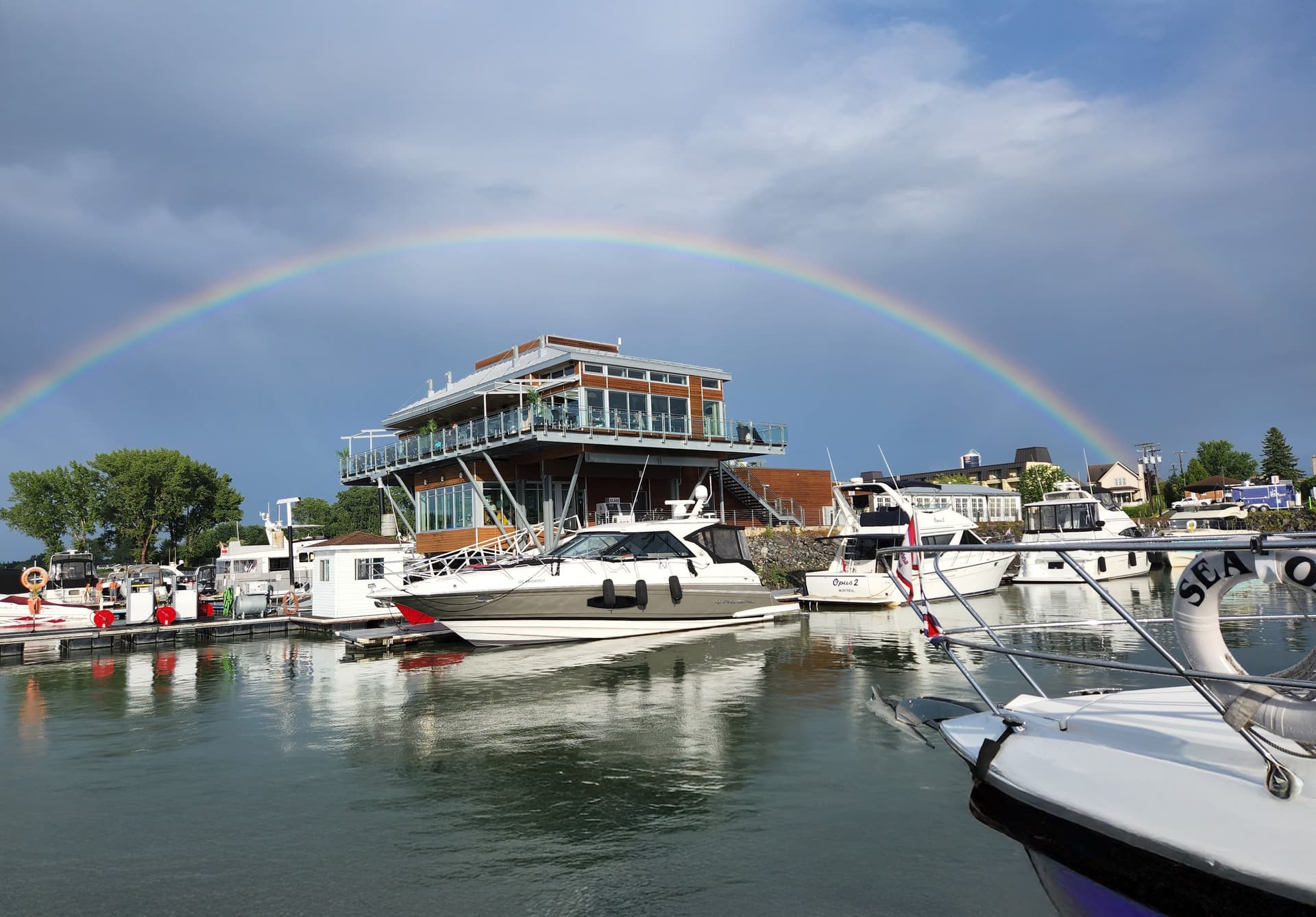 Bateaux de plaisance amarrés dans une marina calme bordée d’arbres, sous un ciel bleu dégagé.