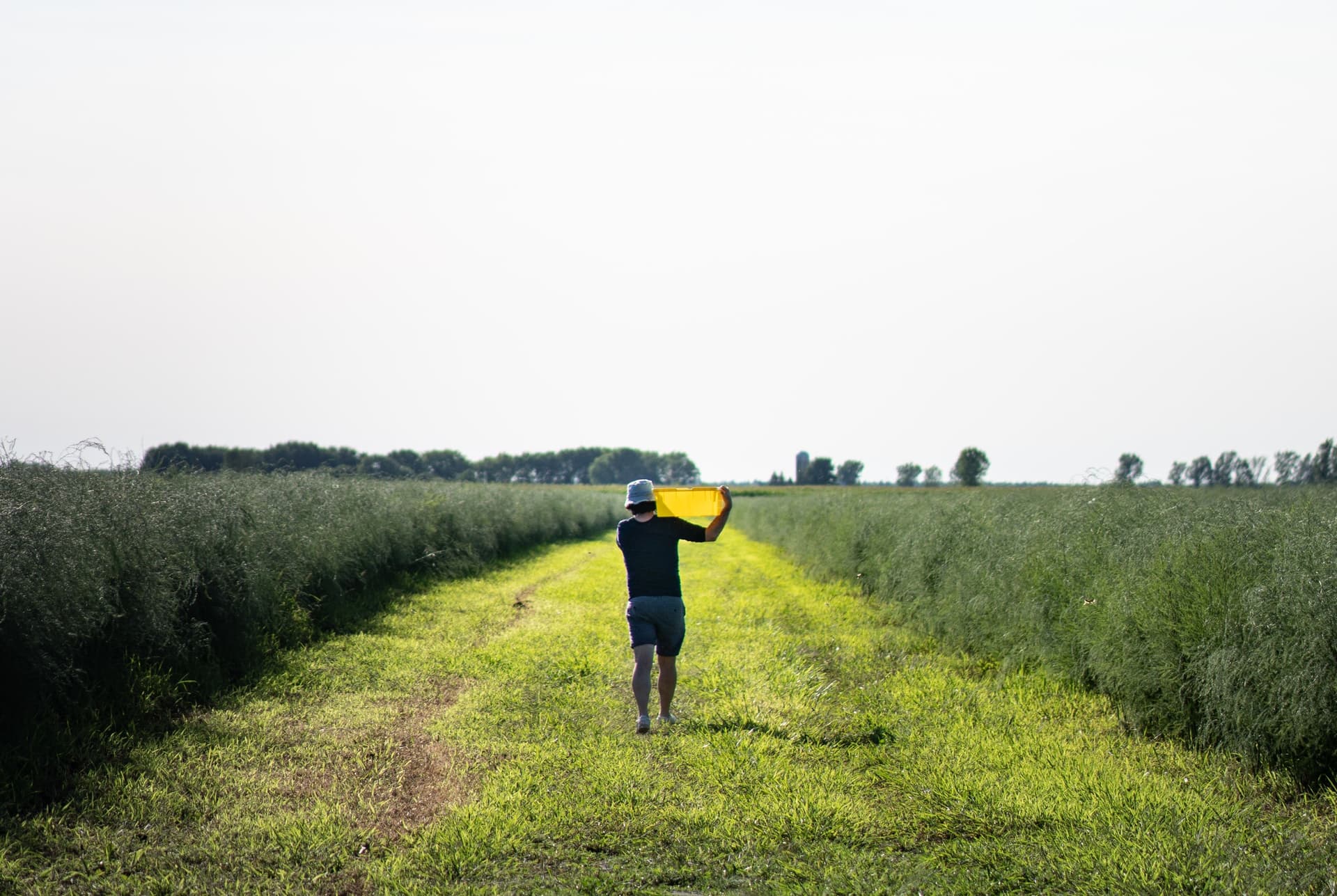 Agrotourisme photo